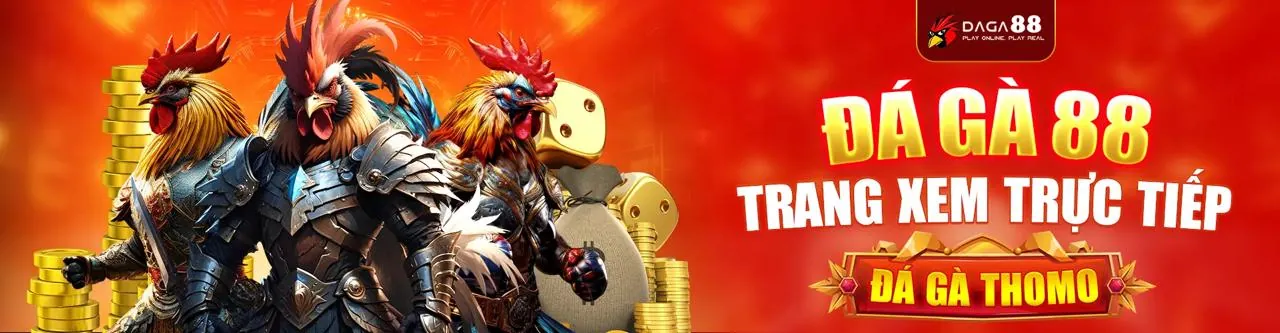 Sân đấu đá gà trực tuyến sôi động tại 79bets