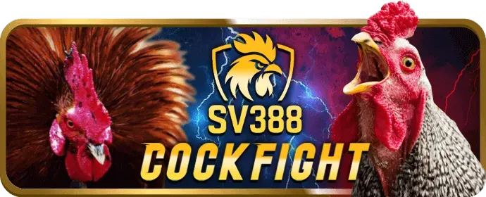 An toàn và hỗ trợ khách hàng tại 79bets