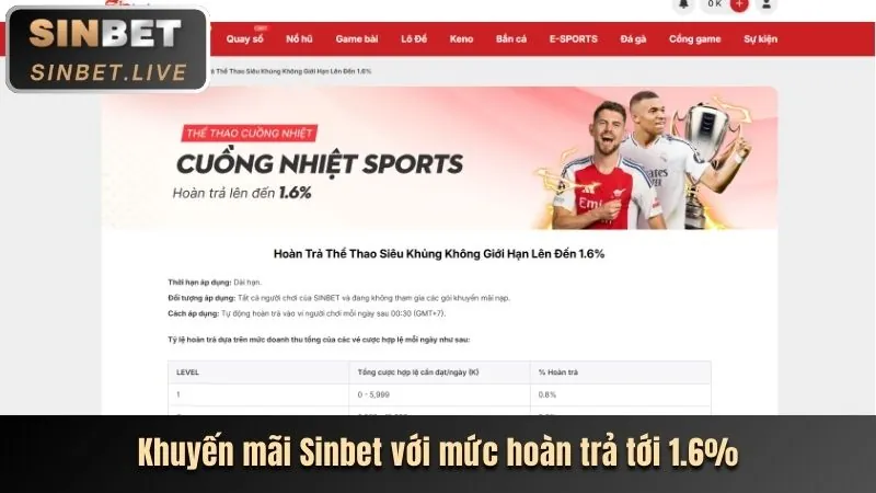 Giao diện thân thiện của ứng dụng 79bets